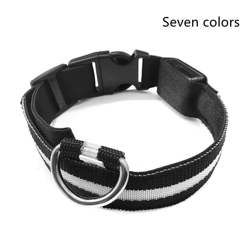 Collar luminoso de nailon LED para perros, seguridad nocturna intermitente, brillo en la oscuridad, correa para perros y gatos, suministros ajustables para mascotas