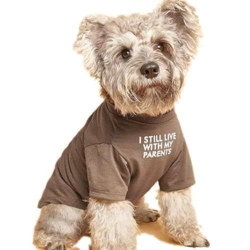 Camiseta de cuello redondo con ropa para mascotas