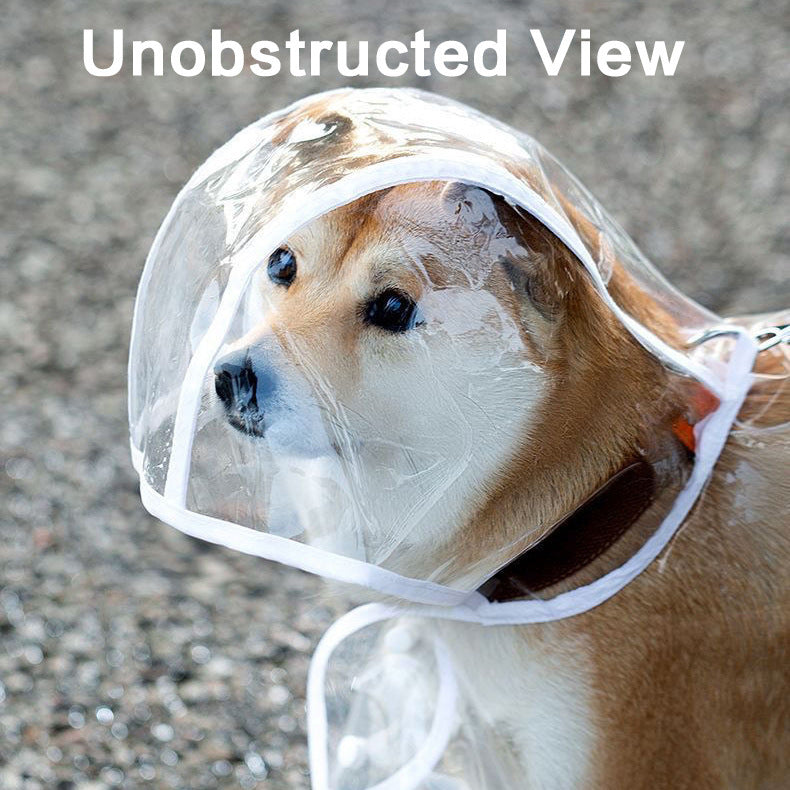 Impermeable transparente para perros