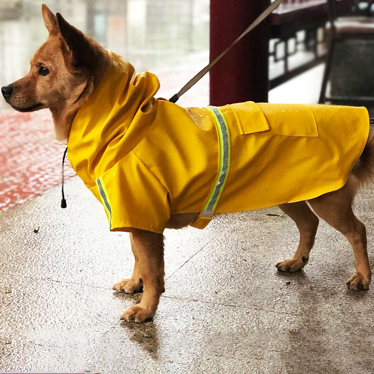 Chubasquero para perros, Impermeable, con capucha y Raya Reflectante De Seguridad