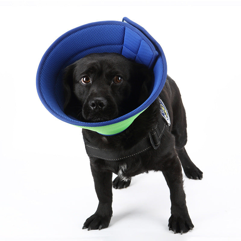 Collar antimordeduras para perros y gatos, collares de recuperación médica para mascotas, cubierta transparente de protección para mascotas, collar isabelino, círculo para suministros para mascotas