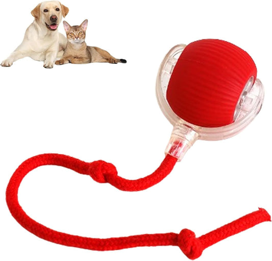 Pelota inteligente interactiva para perros y gatos – Se mueve sola 360°, ideal para jugar y estimular a tu mascota