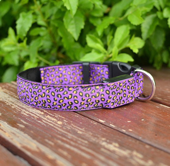 Collar de perro LED Seguridad Collar de mascota de leopardo de nailon ajustable