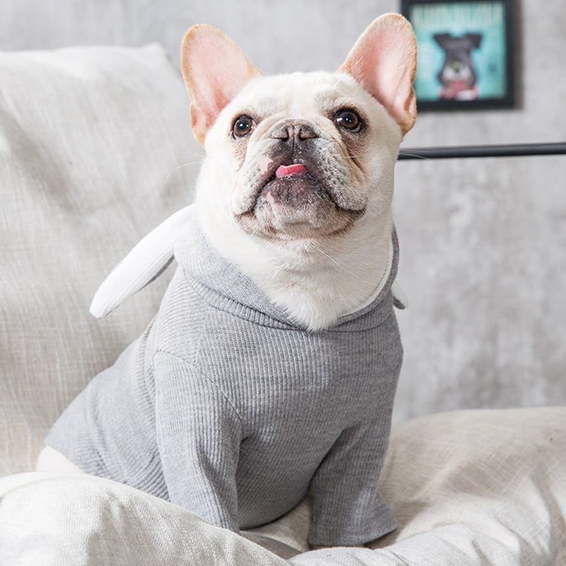Ropa de perro para mascotas Ropa de primavera y otoño