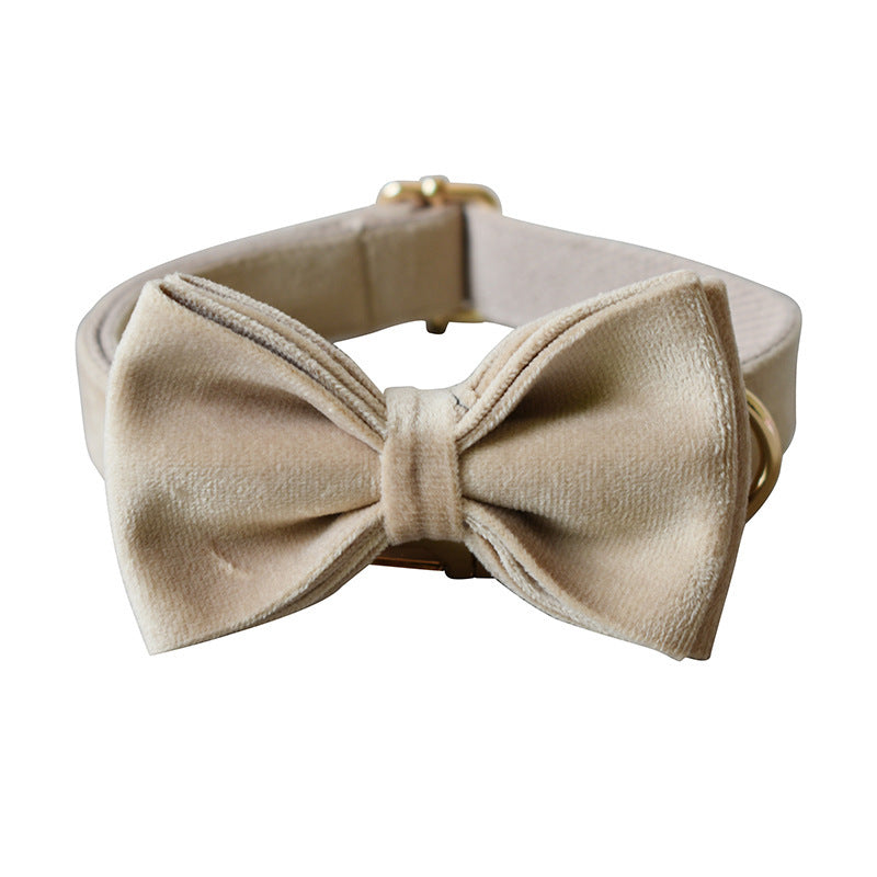 Kit Correa y Collar de terciopelo para mascotas