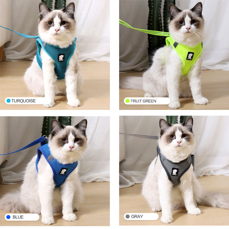 Arnés para gatos de tracción