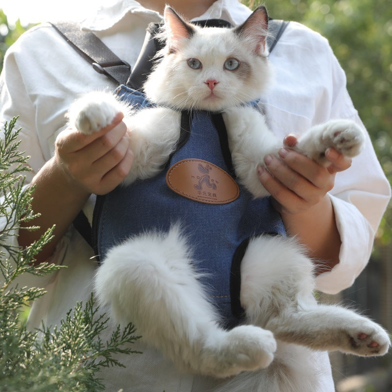 Mochila portátil para gatos para la salida de primavera