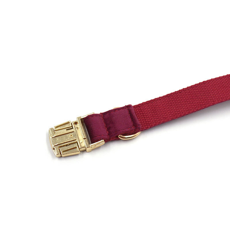 Set Collar+correa suave de terciopelo burdeos para mascotas