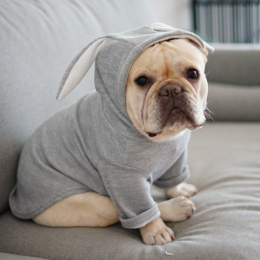 Ropa de perro para mascotas Ropa de primavera y otoño