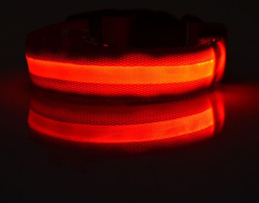 Collar luminoso de nailon LED para perros, seguridad nocturna intermitente, brillo en la oscuridad, correa para perros y gatos, suministros ajustables para mascotas