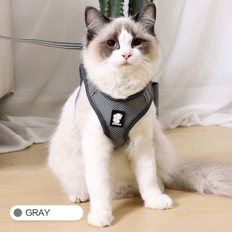 Arnés para gatos de tracción