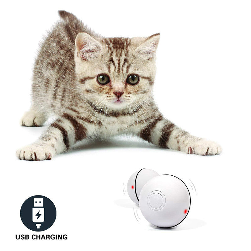LED Bola de juguete interactiva para gatos divertidos para mascotas