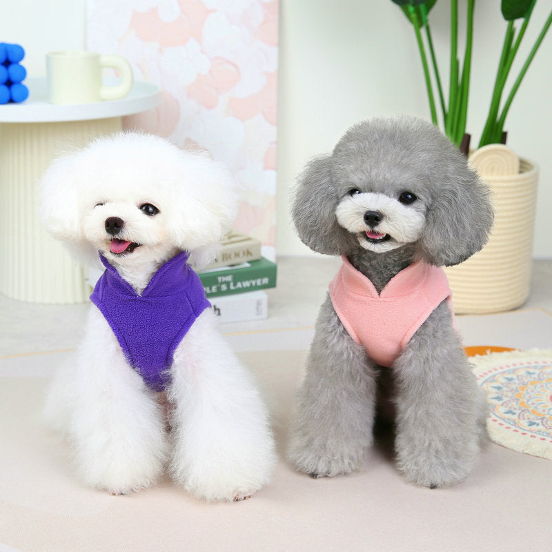 Ropa sencilla informal y cálida para perros