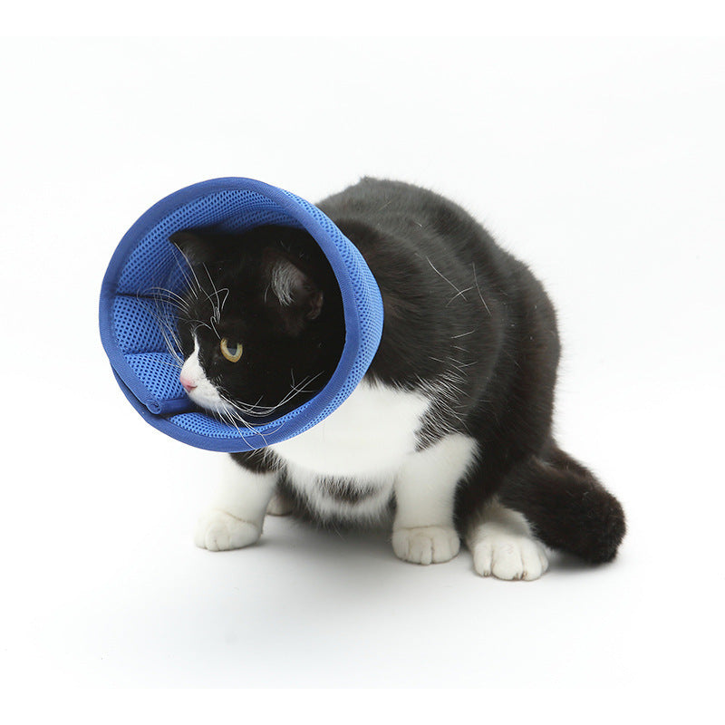 Collar antimordeduras para perros y gatos, collares de recuperación médica para mascotas, cubierta transparente de protección para mascotas, collar isabelino, círculo para suministros para mascotas