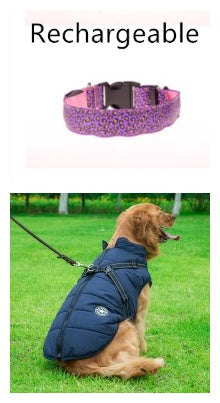 Collar de perro LED Seguridad Collar de mascota de leopardo de nailon ajustable