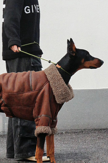 Abrigo de cuero con solapa de terciopelo para mascotas Winter Plus para perros grandes