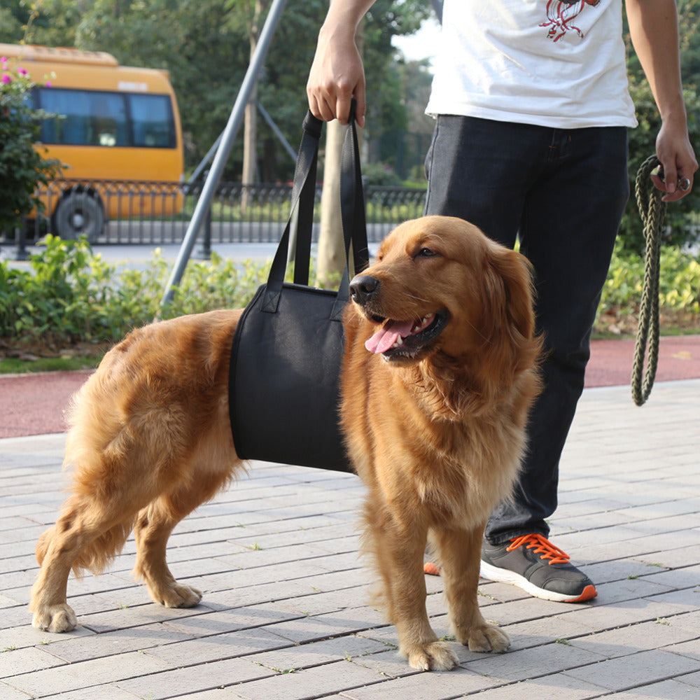 Arnés de Apoyo para Perros con Movilidad Reducida