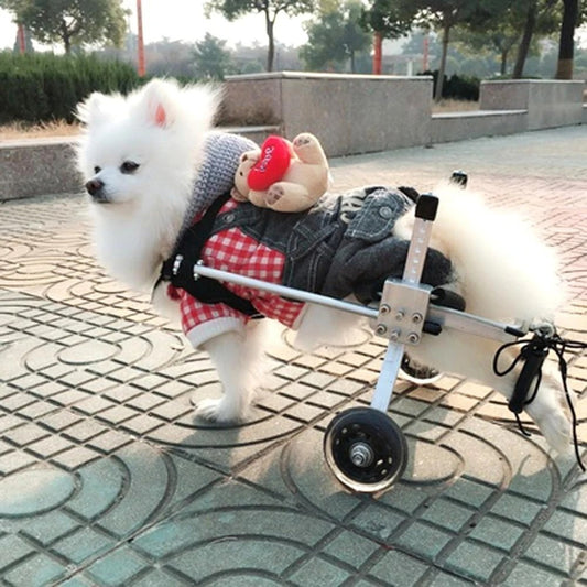 Silla de ruedas ajustable para perros – Soporte cómodo y adaptable para movilidad