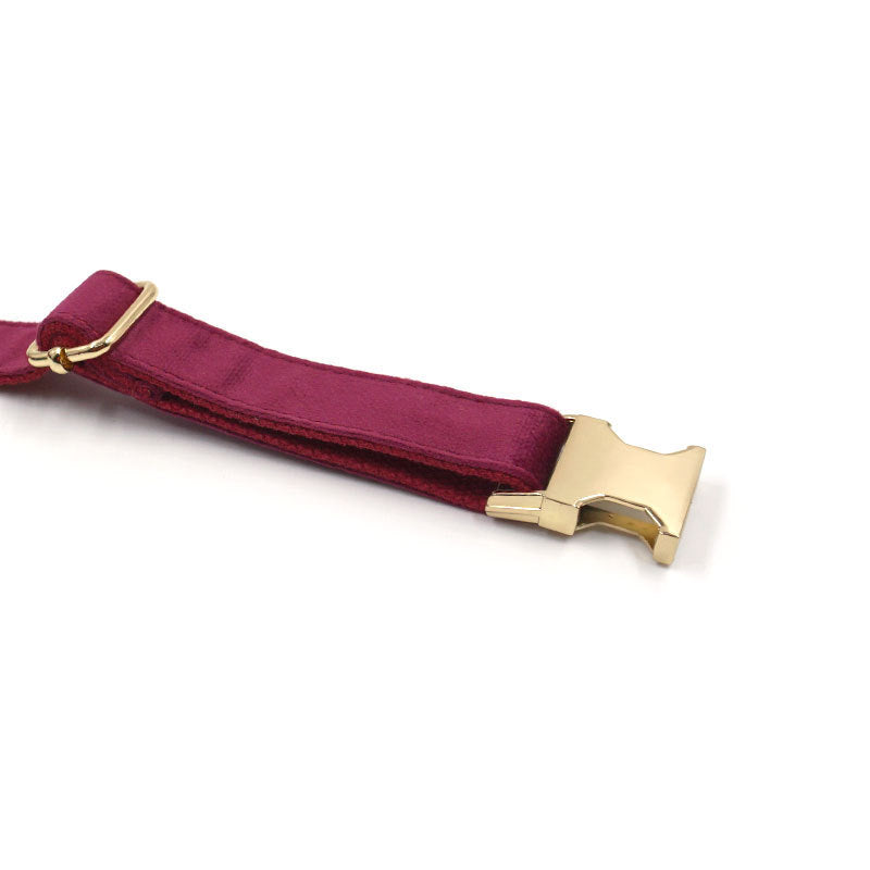 Set Collar+correa suave de terciopelo burdeos para mascotas