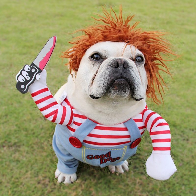Disfraz de mascota de Halloween, perro, ropa divertida, disfraz de cosplay de perro ajustable, disfraz de miedo, reuniones de fiesta