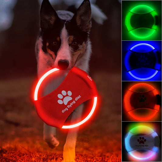 Discos voladores para perros Luz luminosa LED Entrenamiento luminoso Juguetes interactivos