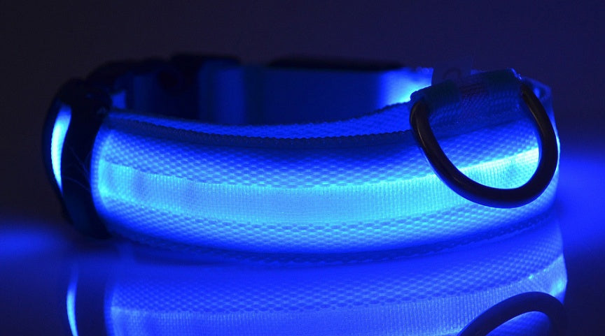 Collar luminoso de nailon LED para perros, seguridad nocturna intermitente, brillo en la oscuridad, correa para perros y gatos, suministros ajustables para mascotas