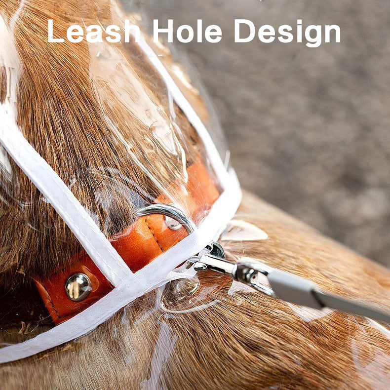 Impermeable transparente para perros
