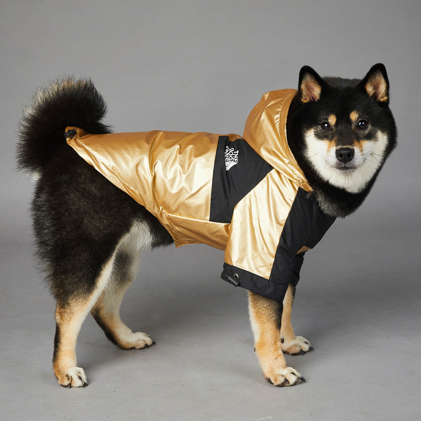 Impermeable para perros grandes, chaqueta/ abrigo para mascotas