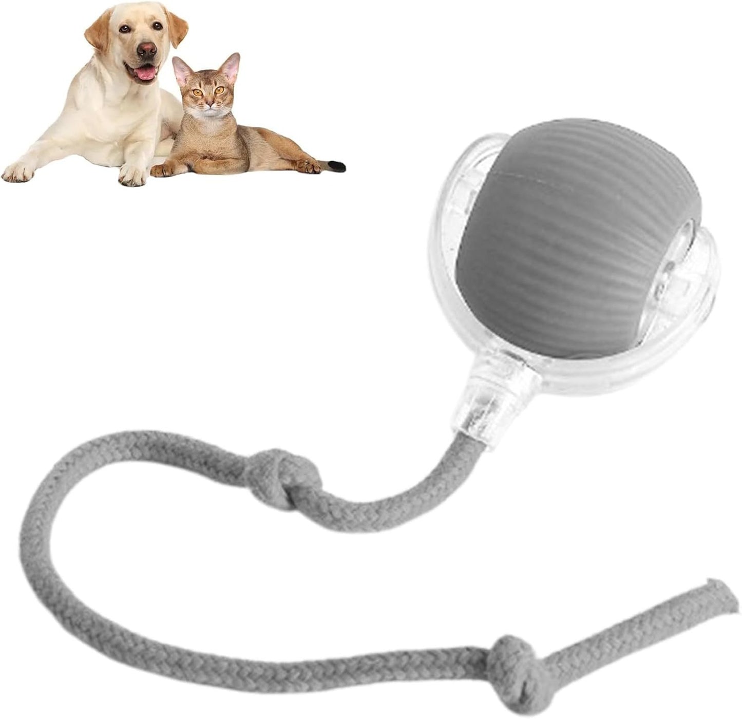 Pelota inteligente interactiva para perros y gatos – Se mueve sola 360°, ideal para jugar y estimular a tu mascota