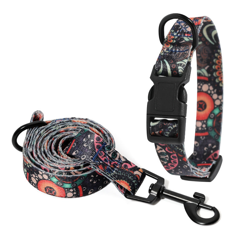 Collar de perro, collar de cuello, correa de mascota