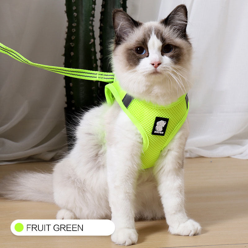 Arnés para gatos de tracción