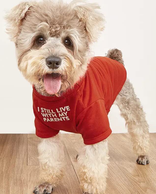 Camiseta de cuello redondo con ropa para mascotas