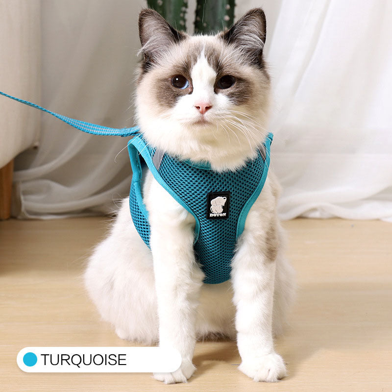 Arnés para gatos de tracción