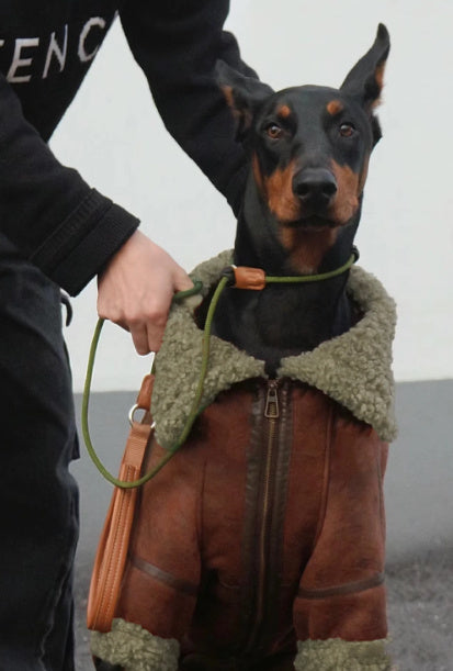 Abrigo de cuero con solapa de terciopelo para mascotas Winter Plus para perros grandes