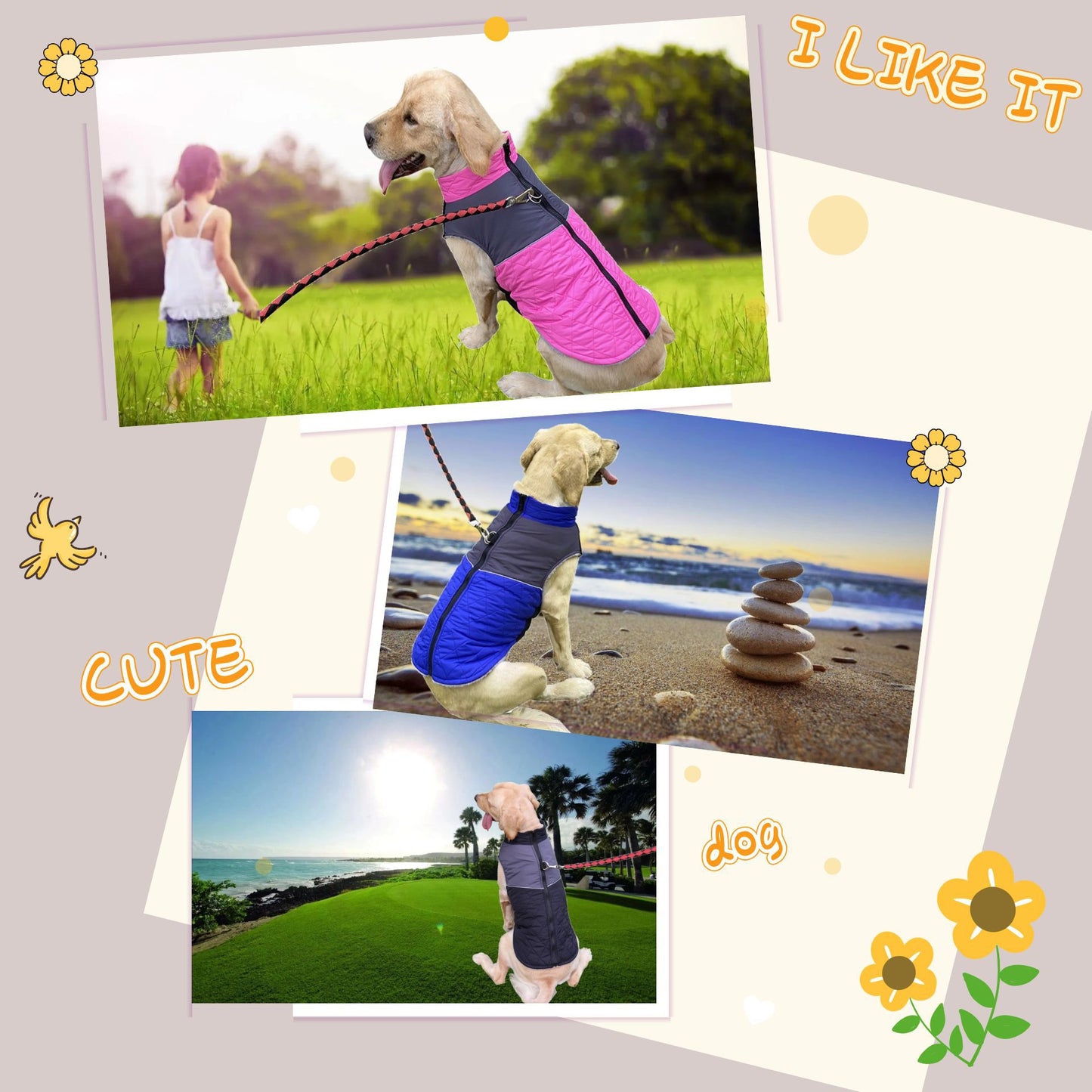 Ropa Para Mascotas Al Aire Libre, Ropa para perros De Otoño e Invierno, Impermeable