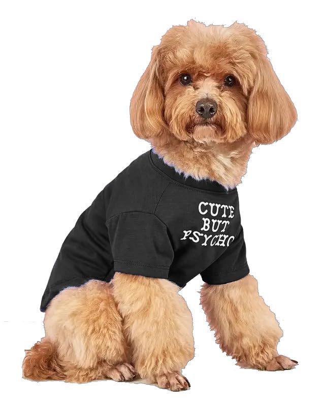 Camiseta de cuello redondo con ropa para mascotas