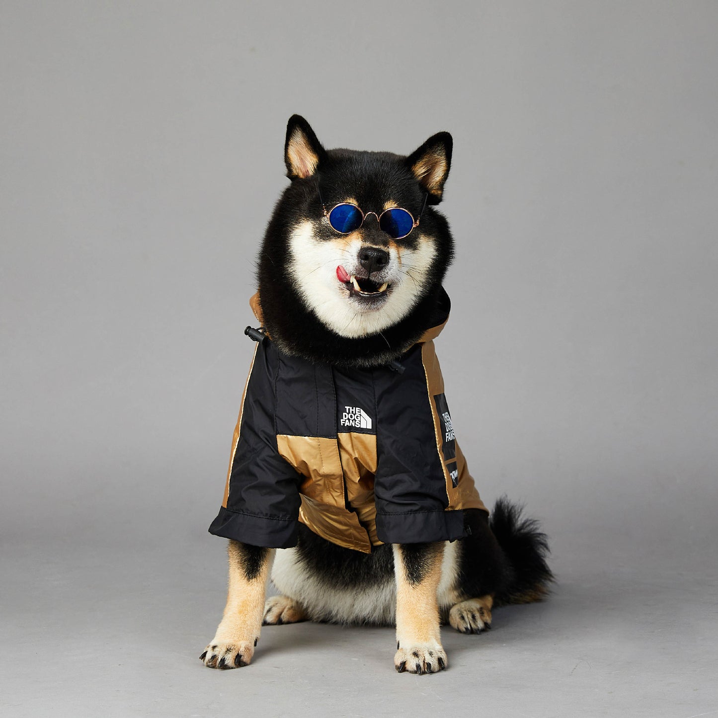 Impermeable para perros grandes, chaqueta/ abrigo para mascotas