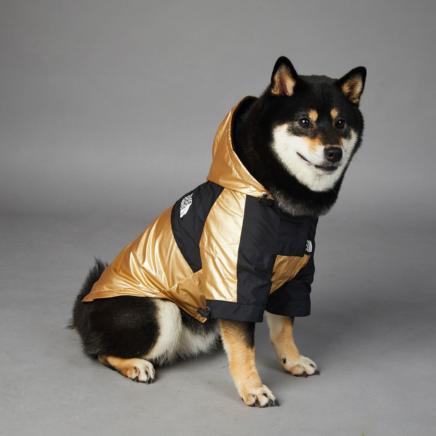 Impermeable para perros grandes, chaqueta/ abrigo para mascotas