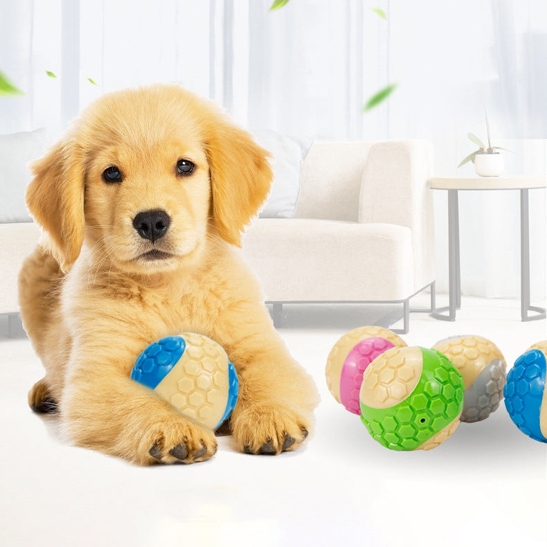 Pelota interactiva para mascotas