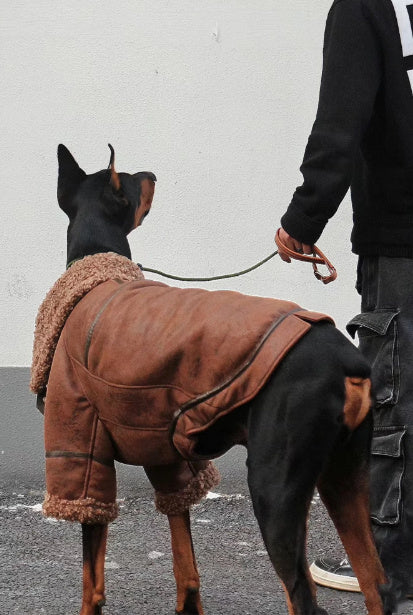 Abrigo de cuero con solapa de terciopelo para mascotas Winter Plus para perros grandes