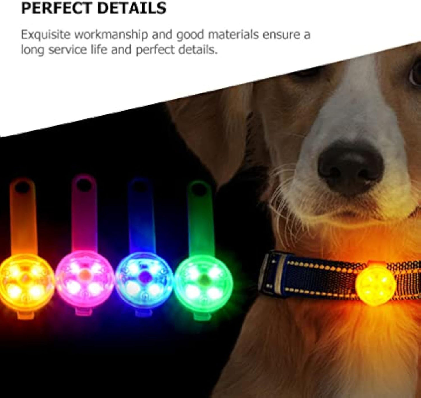 Colgante Luminoso para Perros – Luz de Seguridad para Paseos Nocturnos