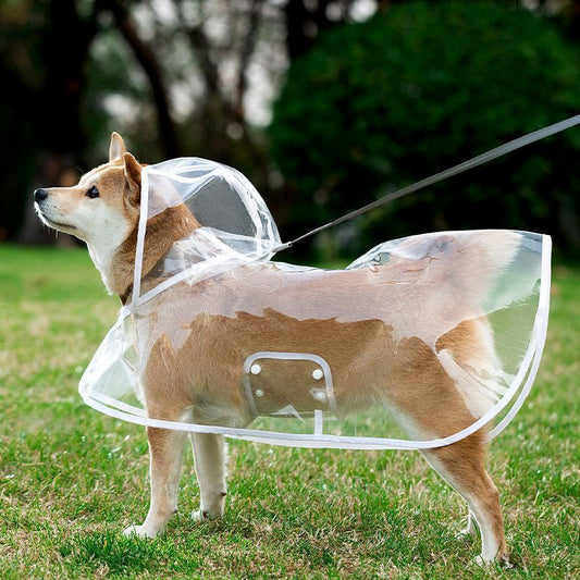 Impermeable transparente para perros
