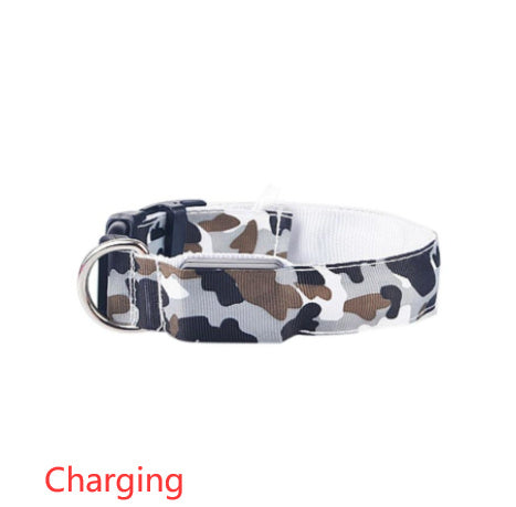 Collar camuflaje luminoso para mascotas, correa