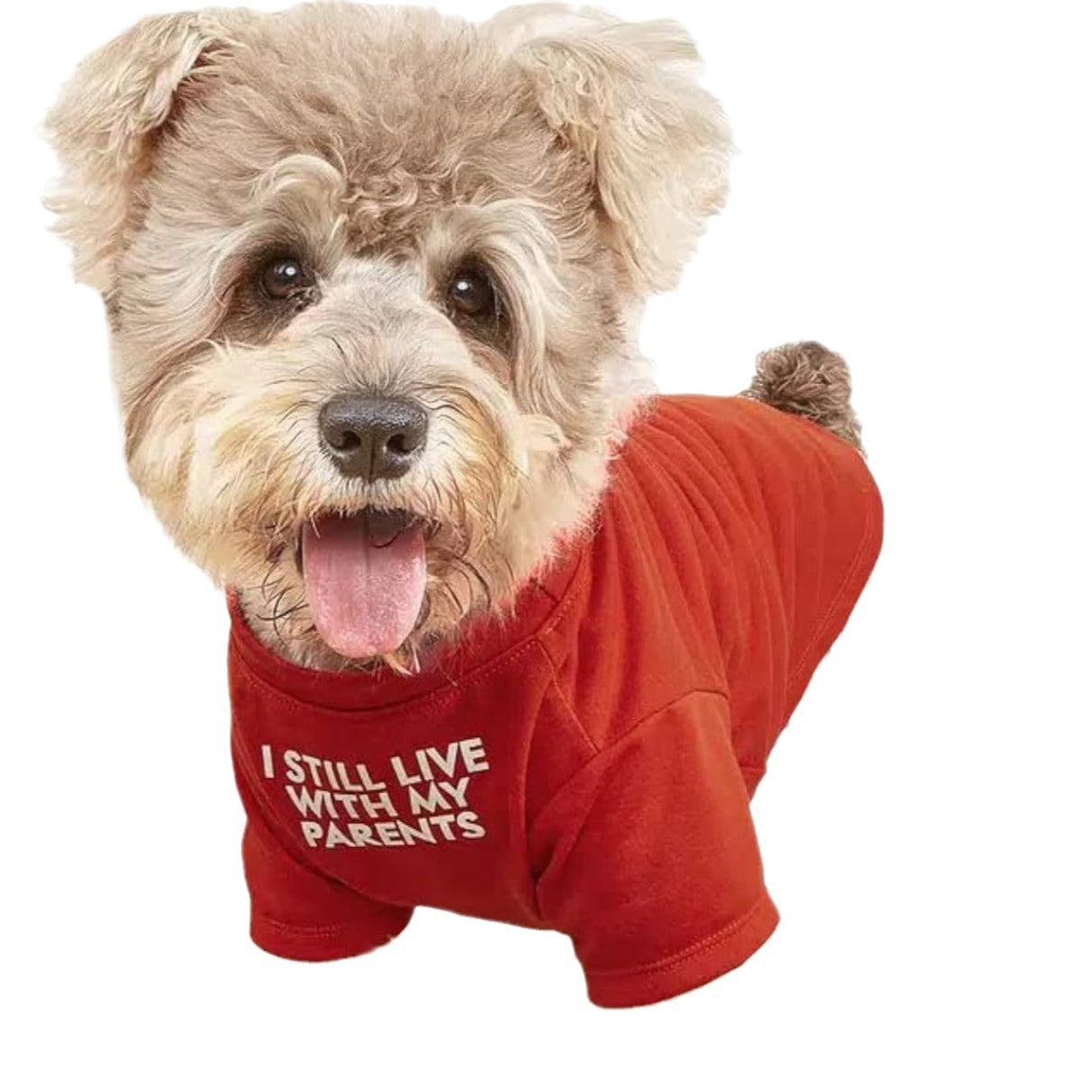 Camiseta de cuello redondo con ropa para mascotas