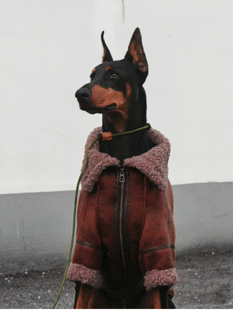 Abrigo de cuero con solapa de terciopelo para mascotas Winter Plus para perros grandes