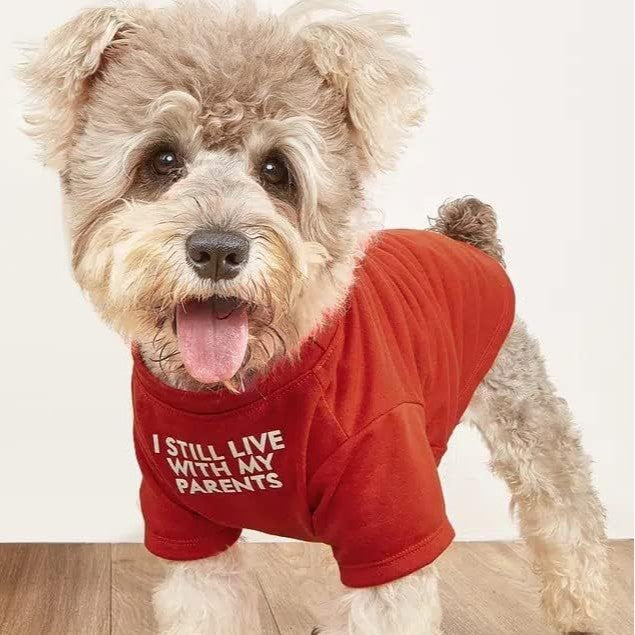 Camiseta de cuello redondo con ropa para mascotas