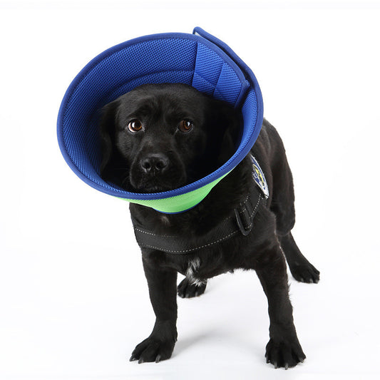 Collar antimordeduras para perros y gatos, collares de recuperación médica para mascotas, cubierta transparente de protección para mascotas, collar isabelino, círculo para suministros para mascotas
