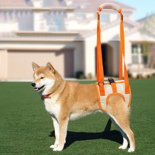Arnés de Soporte para Perros – Ayuda para Patas Traseras
