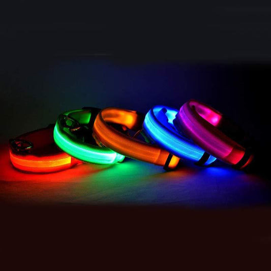 Collar luminoso de nailon LED para perros, seguridad nocturna intermitente, brillo en la oscuridad, correa para perros y gatos, suministros ajustables para mascotas