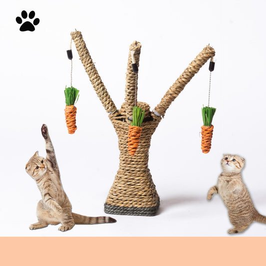 Rascador con Plataforma de Sisal – Diversión juego zanahoria y Cuidado para tu Gato